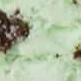 Mint Chocolate Chip Ice Cream
